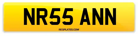 NR55 ANN