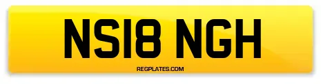 NS18 NGH