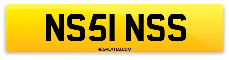 NS51 NSS