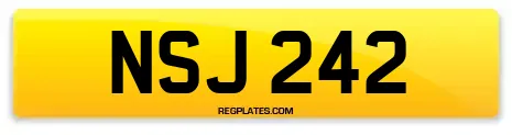 NSJ 242