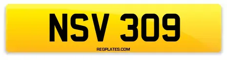 NSV 309