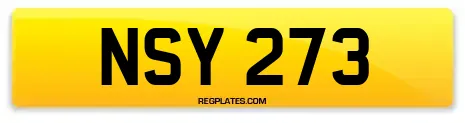 NSY 273