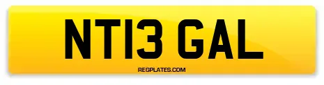 NT13 GAL