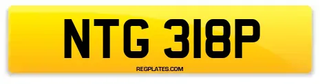NTG 318P