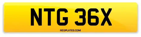 NTG 36X