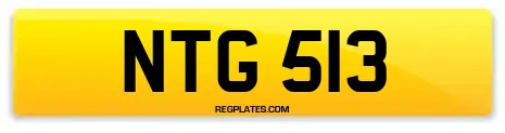 NTG 513