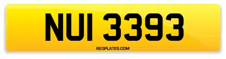 NUI 3393