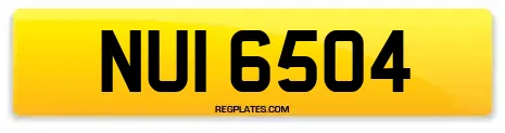NUI 6504