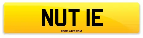 NUT 1E