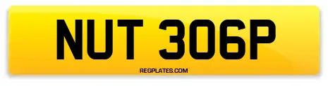 NUT 306P