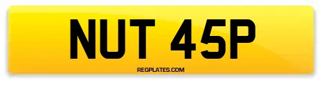 NUT 45P