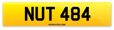 NUT 484