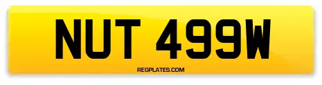 NUT 499W
