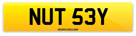 NUT 53Y