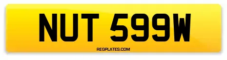 NUT 599W