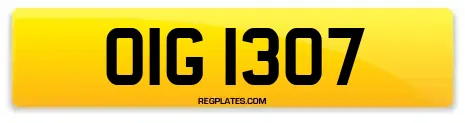 OIG 1307