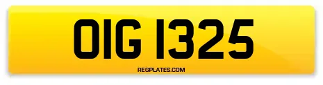 OIG 1325