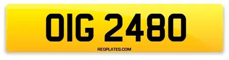 OIG 2480