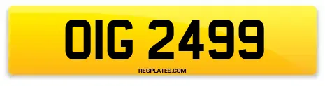 OIG 2499