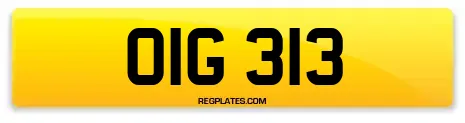 OIG 313