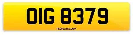 OIG 8379