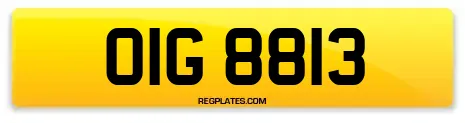 OIG 8813