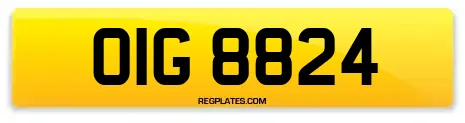 OIG 8824