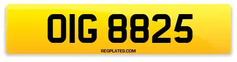 OIG 8825