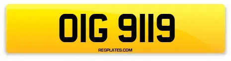 OIG 9119