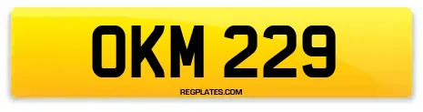 OKM 229