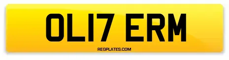 OL17 ERM
