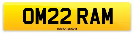 OM22 RAM
