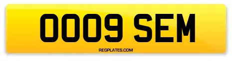 OO09 SEM