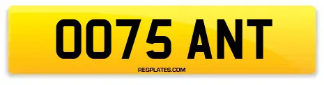 OO75 ANT