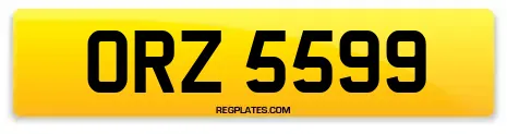 ORZ 5599