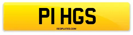 P1 HGS