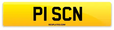 P1 SCN