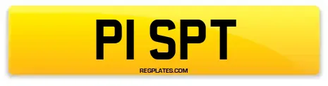 P1 SPT