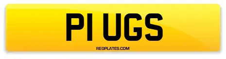 P1 UGS