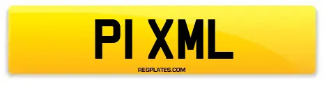 P1 XML