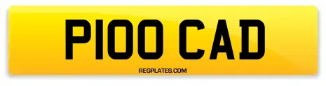 P100 CAD