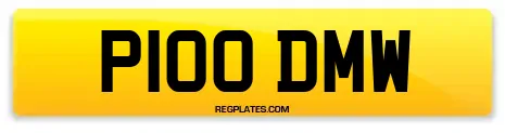 P100 DMW
