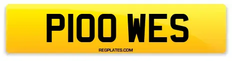 P100 WES