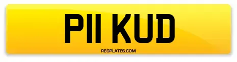 P11 KUD