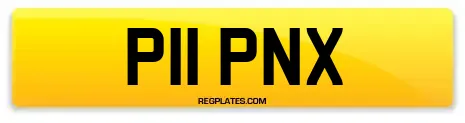 P11 PNX