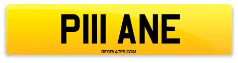 P111 ANE