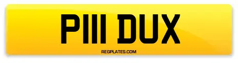 P111 DUX