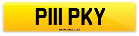 P111 PKY