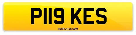 P119 KES