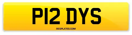 P12 DYS